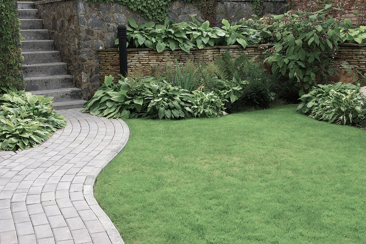 Welcome to Sam & Sons Landscaping